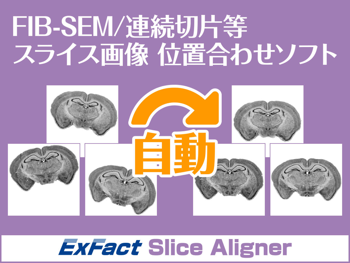 スライス画像(連続切片/医用画像/FIB-SEM/SBF-SEM)位置合わせソフト