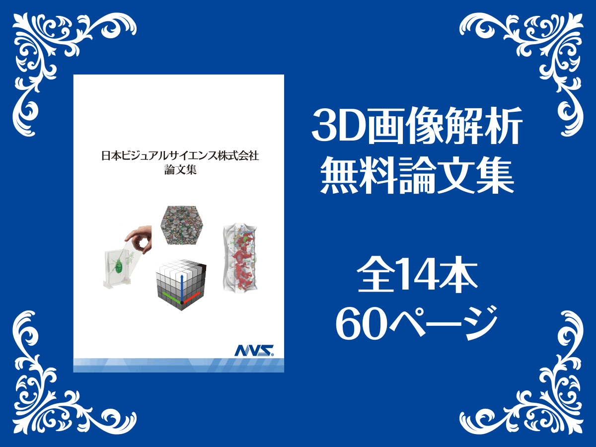 3D画像解析 無料論文集 全14本 60ページ